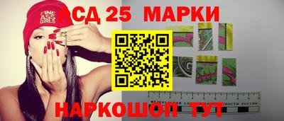 spice Обнинск