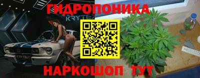 spice Обнинск