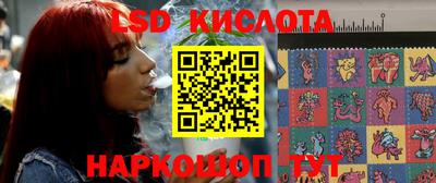 spice Обнинск