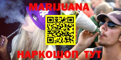 spice Обнинск