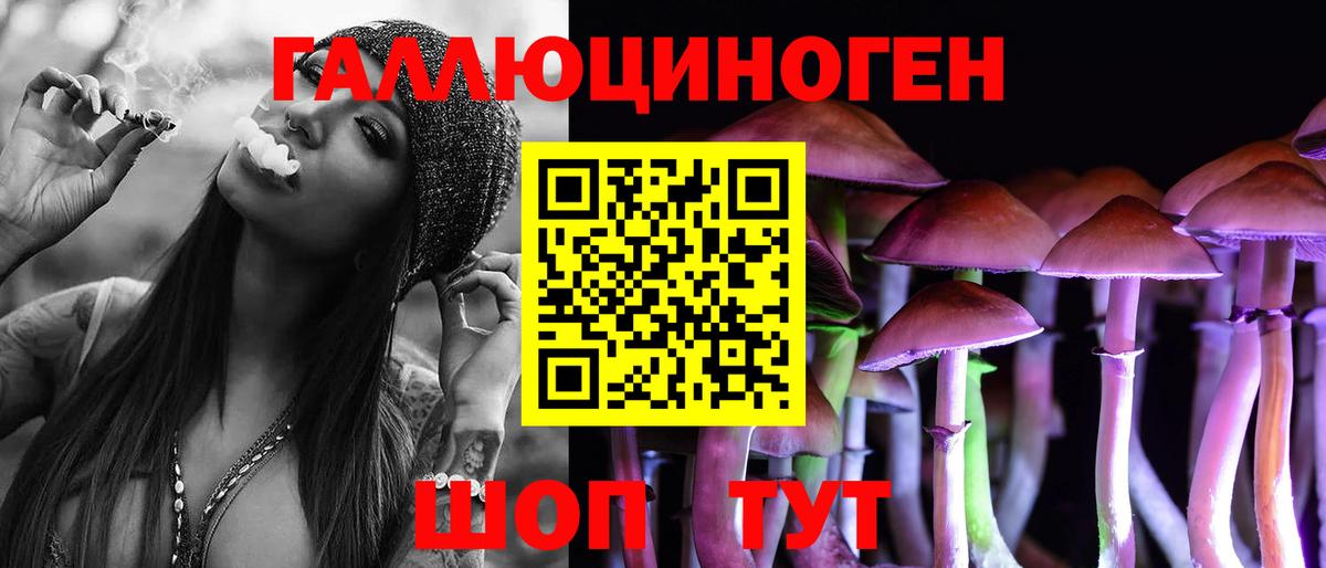 Псилоцибиновые грибы мицелий Тихорецк
