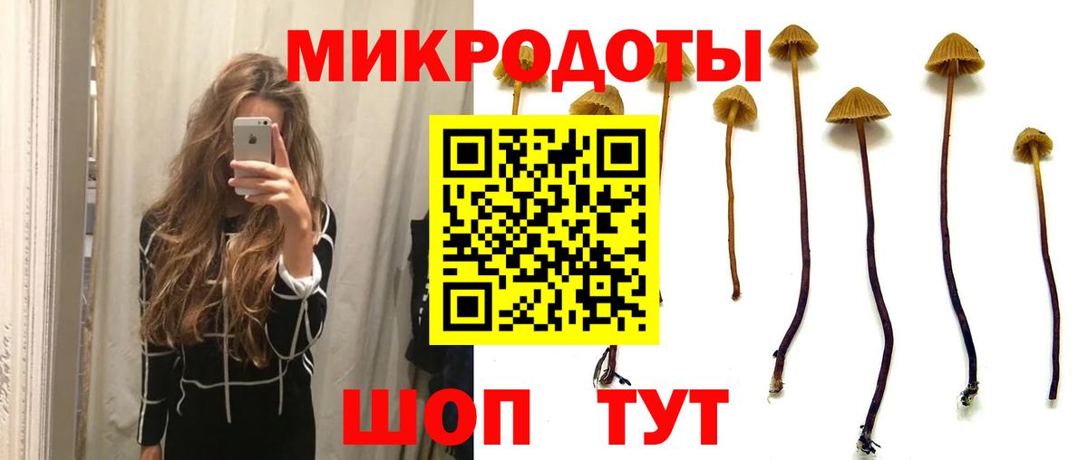 Псилоцибиновые грибы Psilocybe  Вход с VPN  Тихорецк 